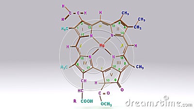 Chlorophyll c Stock Photo