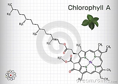 Chlorophyll A, chlorophyll molecule. It is photosynthetic pigment used in oxygenic photosynthesis. Skeletal chemical formula. Vector Illustration