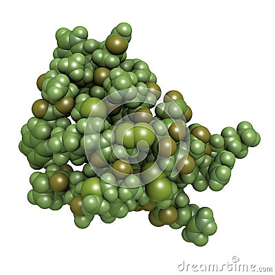 Chlorotoxin scorpion toxin. Peptide toxin present in deathstalker scorpion venom. Blocks chloride channels Stock Photo