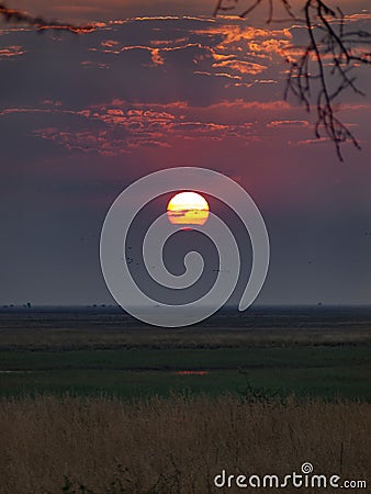 The Chobe National Park between Botswana and Namibia at sunset, Africa Stock Photo