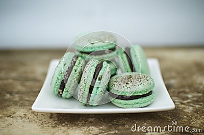 Choc mint macarons Stock Photo