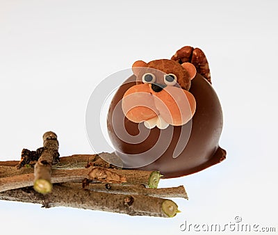 Chocolate Beaver with sticks Stock Photo
