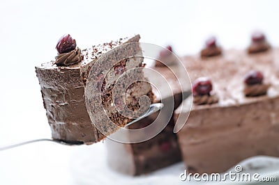 Chocolate cake on metal spoon, tart on white plate, cake with cherries and cream, patisserie, photography for shop, birthday cake Stock Photo