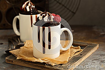 Chocolate cake in the mug Stock Photo