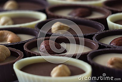 Chocolate candies with filling and nuts, sweets background. Oval sweets made of black, milk and white chocolate with hazelnuts, Stock Photo