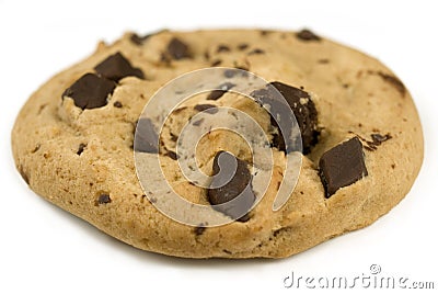 Chocolate Chip Cookie. Stock Photo