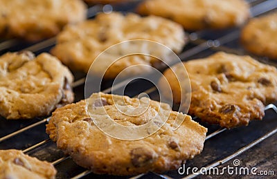 Chocolate chip cookies Stock Photo