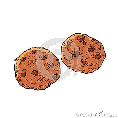 Chocolate chip cookies isolate on white background Vector Illustration