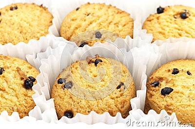 Chocolate chip cookies placed in the white ruffled paper baking molds in the plastic packaging close-up Stock Photo