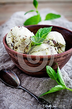 Chocolate chip mint ice cream Stock Photo