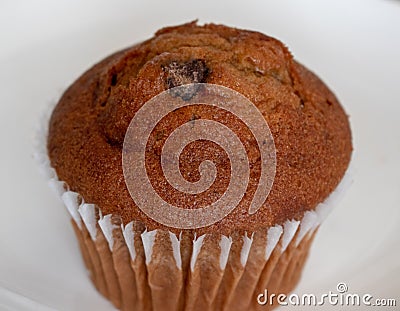 Chocolate Chip Muffin Stock Photo