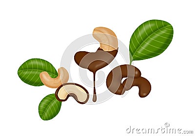 Chocolate covered cashew nuts Stock Photo