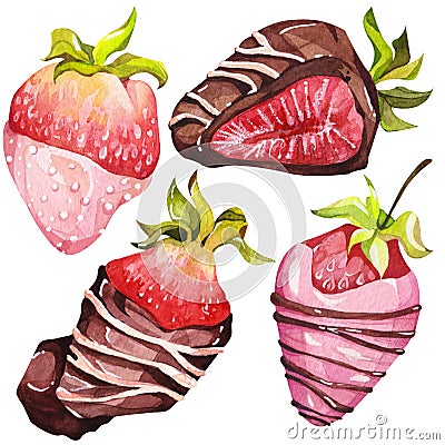 Chocolate-covered strawberries. Isolated elements. Watercolor illustration. Valentine`s Day. Cartoon Illustration