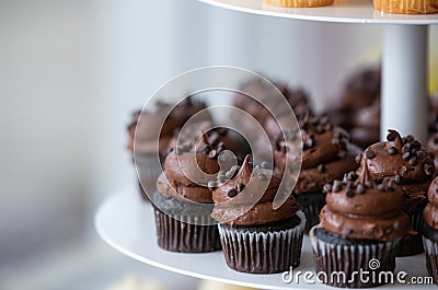 Chocolate Cupcakes with frosting Stock Photo