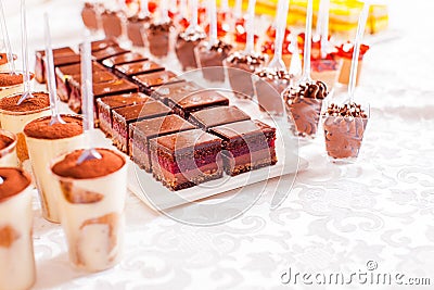 Chocolate dessert, layer chocolate cake and tasty tiramisu dessert at sweet table in restaurant Stock Photo