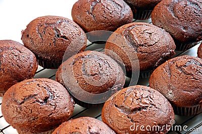 Chocolate muffins Stock Photo