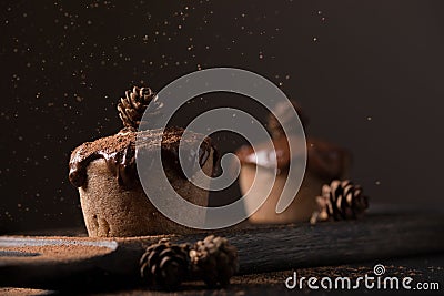 Chocolate muffins, decorated with a small cone on a dark wooden background. Cupcakes are poured with dark chocolate and cocoa powd Stock Photo