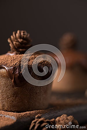 Chocolate muffins, decorated with a small cone on a dark wooden background. Cupcakes are poured with dark chocolate and cocoa powd Stock Photo