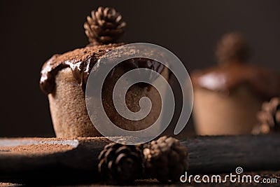 Chocolate muffins, decorated with a small cone on a dark wooden background. Cupcakes are poured with dark chocolate and cocoa powd Stock Photo