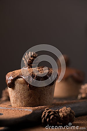 Chocolate muffins, decorated with a small cone on a dark wooden background. Cupcakes are poured with dark chocolate and cocoa powd Stock Photo