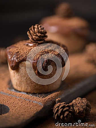 Chocolate muffins, decorated with a small cone on a dark wooden background. Cupcakes are poured with dark chocolate and cocoa powd Stock Photo