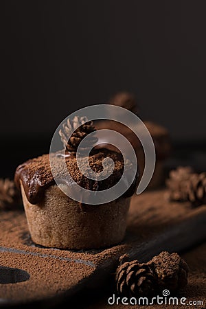 Chocolate muffins, decorated with a small cone on a dark wooden background. Cupcakes are poured with dark chocolate and cocoa powd Stock Photo