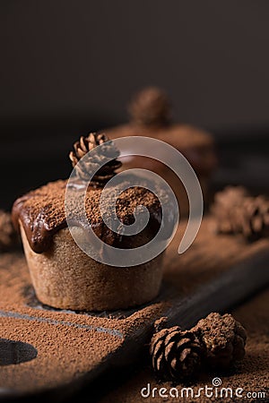 Chocolate muffins, decorated with a small cone on a dark wooden background. Cupcakes are poured with dark chocolate and cocoa powd Stock Photo
