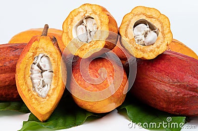 Chocolate plant pods Stock Photo