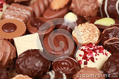 Chocolate Pralines Stock Photo