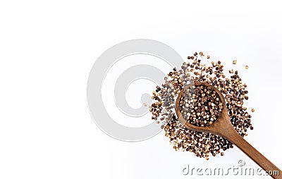 Chocolate quinoa seeds - Chenopodium quinoa Stock Photo