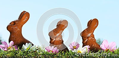 Chocolate rabbits in the grass Stock Photo