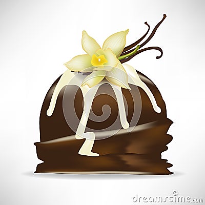 Chocolate scoop of ice cream with vanilla Vector Illustration