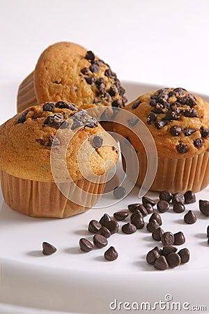 Chocolate-Vanilla Cupcake Stock Photo