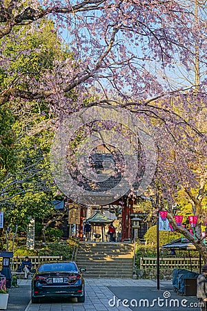 Chofu Jindaiji of Sakura and city Editorial Stock Photo