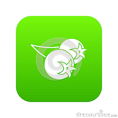 Chokeberry or aronia berry icon digital green Cartoon Illustration