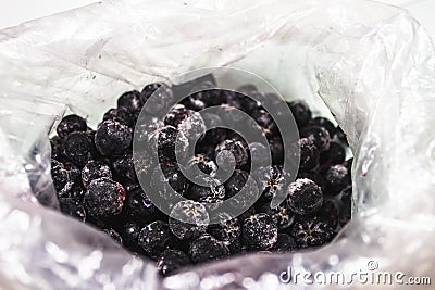 Chokeberry freshly frozen. Chokeberry on a white background, collected in handful. Stock Photo