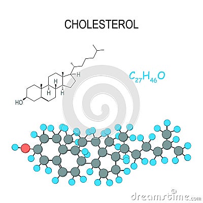 Cholesterol. Chemical structural formula and model of molecule. C27H46O Vector Illustration