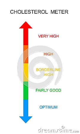 Cholesterol meter vertical scale. Atherosclerosis, hyperlipidemia, hypercholesterolemia risk chart. Lipoprotein levels Vector Illustration
