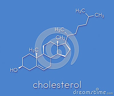 Cholesterol molecule. Essential component of cell membranes and precursor of steroid hormones, bile acids and vitamin D. Skeletal Stock Photo