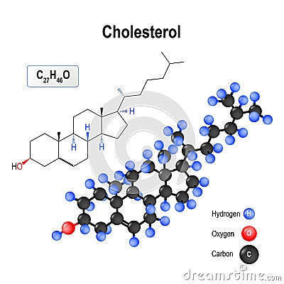 Cholesterol. Structure of a molecule. Vector Illustration