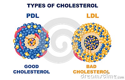 Cholesterol Types Set Vector Illustration