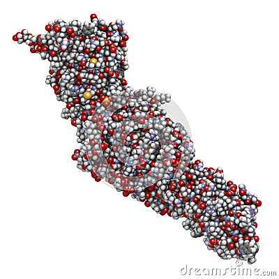 Cholesteryl ester transfer protein (CETP). Potential drug target Stock Photo