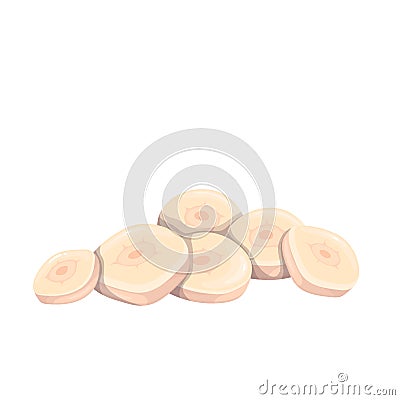 Chopped clove of garlic, peeled round slices, organic sliced vegetable pieces for cooking Vector Illustration