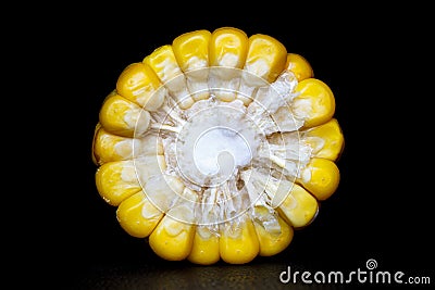 Chopped corn in profile on a black background Stock Photo