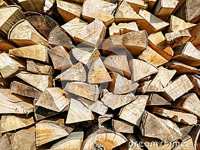 Chopped firewood drying in sun Stock Photo