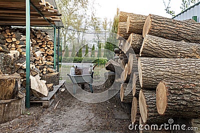 Chopped firewood storage under shed and oak wooden tree logs prepared for chopping and cutting at home backyard. Woodshed store at Stock Photo