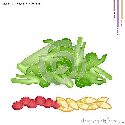 Chopped Pok Choi with Vitamin K and Vitamin A Vector Illustration