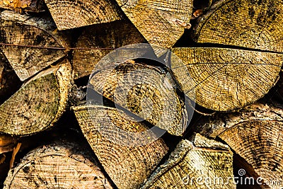 Chopped Wood Pile Stock Photo