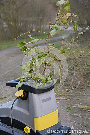 Chopping branches, twigs and pruning waste with an electric garden shredder Stock Photo