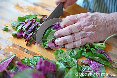 Chopping fresh greens on a wet board Stock Photo